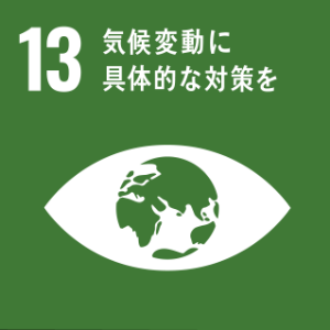 SDGs13の画像